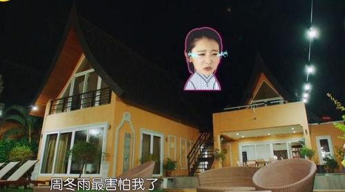 明星大爆料黑历史视频,黑历史视频背后的惊人真相